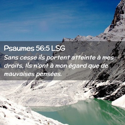 Picture 02 - Psaumes 56:5 LSG - Sans cesse ils portent atteinte à mes droits, - Bible Verse Picture