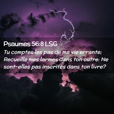 Picture 02 - Psaumes 56:8 LSG - Tu comptes les pas de ma vie errante; Recueille - Bible Verse Picture