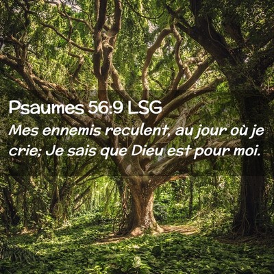Picture 02 - Psaumes 56:9 LSG - Mes ennemis reculent, au jour où je crie; Je - Bible Verse Picture