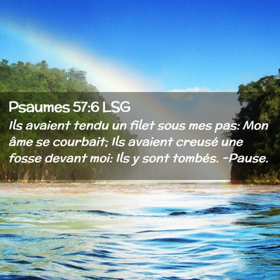 Picture 02 - Psaumes 57:6 LSG - Ils avaient tendu un filet sous mes pas: Mon âme - Bible Verse Picture