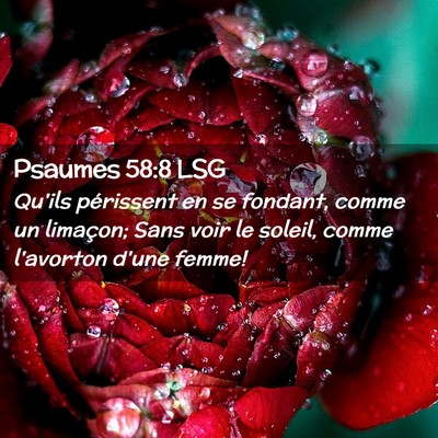 Picture 02 - Psaumes 58:8 LSG - Qu'ils périssent en se fondant, comme un - Bible Verse Picture
