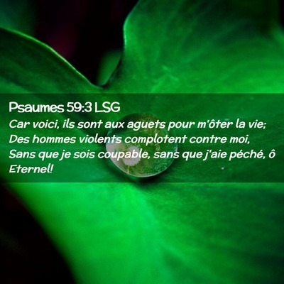 Picture 02 - Psaumes 59:3 LSG - Car voici, ils sont aux aguets pour m'ôter la - Bible Verse Picture