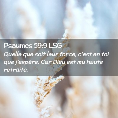 Picture 02 - Psaumes 59:9 LSG - Quelle que soit leur force, c'est en toi que - Bible Verse Picture
