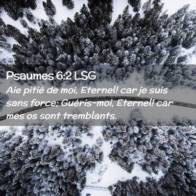 Picture 02 - Psaumes 6:2 LSG - Aie pitié de moi, Eternel! car je suis sans - Bible Verse Picture
