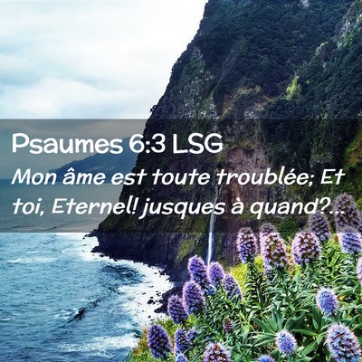 Picture 02 - Psaumes 6:3 LSG - Mon âme est toute troublée; Et toi, Eternel! - Bible Verse Picture