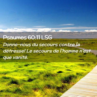 Picture 02 - Psaumes 60:11 LSG - Donne-nous du secours contre la détresse! Le - Bible Verse Picture