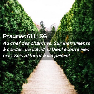 Picture 02 - Psaumes 61:1 LSG - Au chef des chantres. Sur instruments à cordes. - Bible Verse Picture