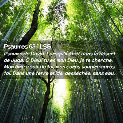 Picture 02 - Psaumes 63:1 LSG - Psaume de David. Lorsqu'il était dans le désert - Bible Verse Picture