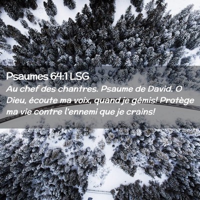 Picture 02 - Psaumes 64:1 LSG - Au chef des chantres. Psaume de David. O Dieu, - Bible Verse Picture