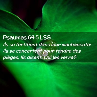 Picture 02 - Psaumes 64:5 LSG - Ils se fortifient dans leur méchanceté: Ils se - Bible Verse Picture