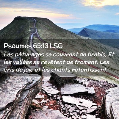 Picture 02 - Psaumes 65:13 LSG - Les pâturages se couvrent de brebis, Et les - Bible Verse Picture