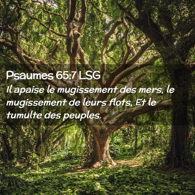 Picture 02 - Psaumes 65:7 LSG - Il apaise le mugissement des mers, le mugissement - Bible Verse Picture