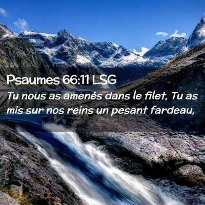 Picture 02 - Psaumes 66:11 LSG - Tu nous as amenés dans le filet, Tu as mis sur - Bible Verse Picture