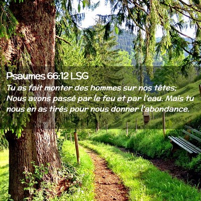 Picture 02 - Psaumes 66:12 LSG - Tu as fait monter des hommes sur nos têtes; Nous - Bible Verse Picture