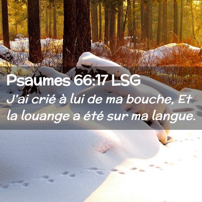 Picture 02 - Psaumes 66:17 LSG - J'ai crié à lui de ma bouche, Et la louange a - Bible Verse Picture
