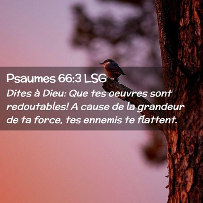 Picture 02 - Psaumes 66:3 LSG - Dites à Dieu: Que tes oeuvres sont redoutables! - Bible Verse Picture