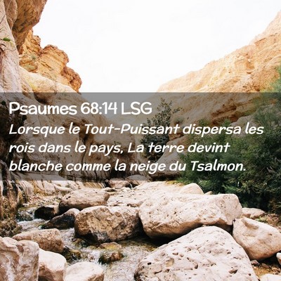 Picture 02 - Psaumes 68:14 LSG - Lorsque le Tout-Puissant dispersa les rois dans - Bible Verse Picture