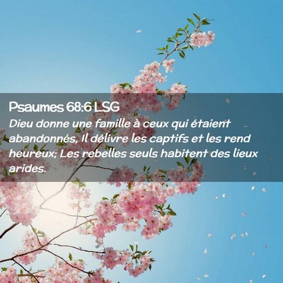 Picture 02 - Psaumes 68:6 LSG - Dieu donne une famille à ceux qui étaient - Bible Verse Picture