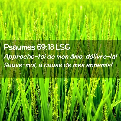 Picture 02 - Psaumes 69:18 LSG - Approche-toi de mon âme, délivre-la! Sauve-moi, - Bible Verse Picture