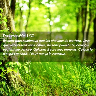 Picture 02 - Psaumes 69:4 LSG - Ils sont plus nombreux que les cheveux de ma - Bible Verse Picture