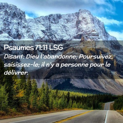 Picture 02 - Psaumes 71:11 LSG - Disant: Dieu l'abandonne; Poursuivez, - Bible Verse Picture