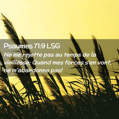 Picture 02 - Psaumes 71:9 LSG - Ne me rejette pas au temps de la vieillesse; - Bible Verse Picture