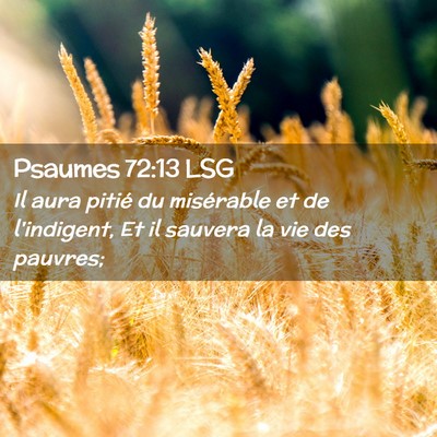 Picture 02 - Psaumes 72:13 LSG - Il aura pitié du misérable et de l'indigent, Et - Bible Verse Picture