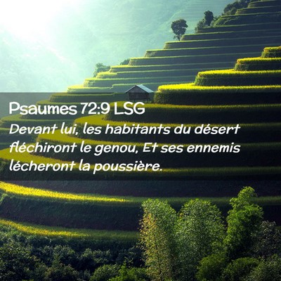 Picture 02 - Psaumes 72:9 LSG - Devant lui, les habitants du désert fléchiront - Bible Verse Picture