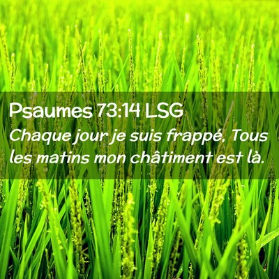 Picture 02 - Psaumes 73:14 LSG - Chaque jour je suis frappé, Tous les matins mon - Bible Verse Picture