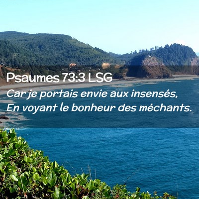 Picture 02 - Psaumes 73:3 LSG - Car je portais envie aux insensés, En voyant le - Bible Verse Picture