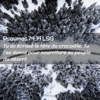 Picture 02 - Psaumes 74:14 LSG - Tu as écrasé la tête du crocodile, Tu l'as - Bible Verse Picture