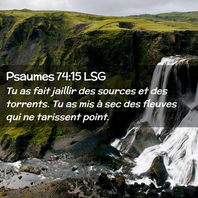 Picture 02 - Psaumes 74:15 LSG - Tu as fait jaillir des sources et des torrents. - Bible Verse Picture