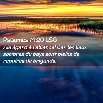 Picture 02 - Psaumes 74:20 LSG - Aie égard à l'alliance! Car les lieux sombres - Bible Verse Picture