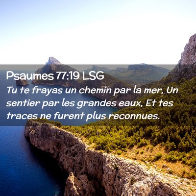 Picture 02 - Psaumes 77:19 LSG - Tu te frayas un chemin par la mer, Un sentier par - Bible Verse Picture