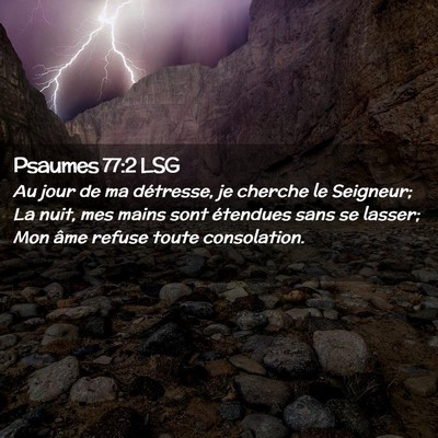 Picture 02 - Psaumes 77:2 LSG - Au jour de ma détresse, je cherche le Seigneur; - Bible Verse Picture