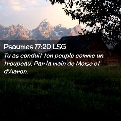 Picture 02 - Psaumes 77:20 LSG - Tu as conduit ton peuple comme un troupeau, Par - Bible Verse Picture