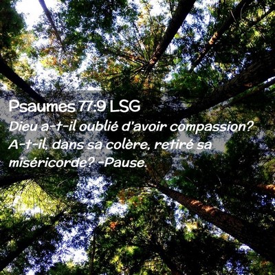 Picture 02 - Psaumes 77:9 LSG - Dieu a-t-il oublié d'avoir compassion? A-t-il, - Bible Verse Picture
