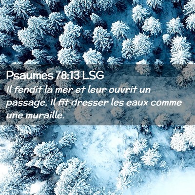 Picture 02 - Psaumes 78:13 LSG - Il fendit la mer et leur ouvrit un passage, Il - Bible Verse Picture