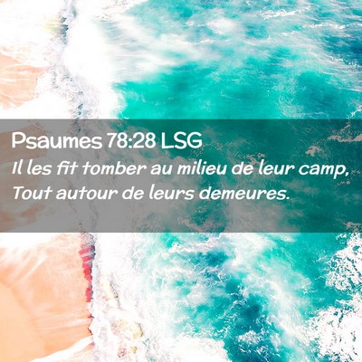 Picture 02 - Psaumes 78:28 LSG - Il les fit tomber au milieu de leur camp, Tout - Bible Verse Picture
