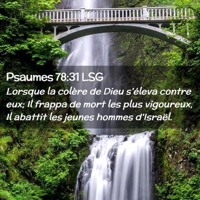 Picture 02 - Psaumes 78:31 LSG - Lorsque la colère de Dieu s'éleva contre eux; - Bible Verse Picture