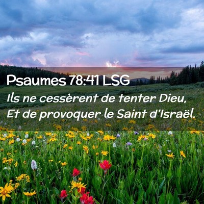 Picture 02 - Psaumes 78:41 LSG - Ils ne cessèrent de tenter Dieu, Et de provoquer - Bible Verse Picture