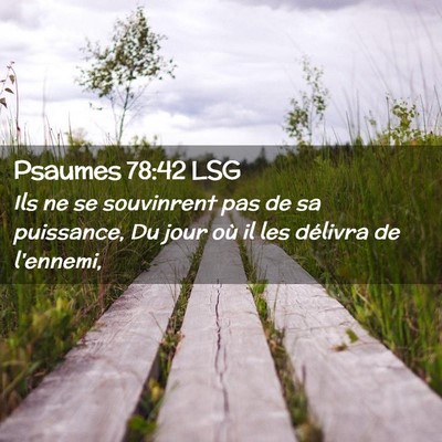 Picture 02 - Psaumes 78:42 LSG - Ils ne se souvinrent pas de sa puissance, Du jour - Bible Verse Picture