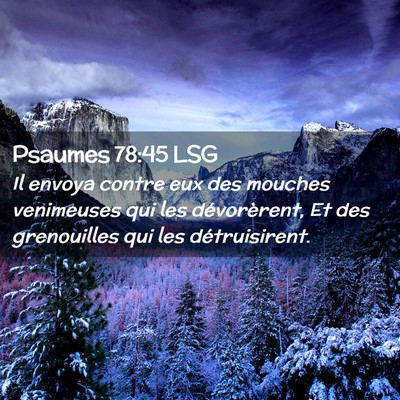Picture 02 - Psaumes 78:45 LSG - Il envoya contre eux des mouches venimeuses qui - Bible Verse Picture