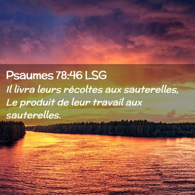 Picture 02 - Psaumes 78:46 LSG - Il livra leurs récoltes aux sauterelles, Le - Bible Verse Picture