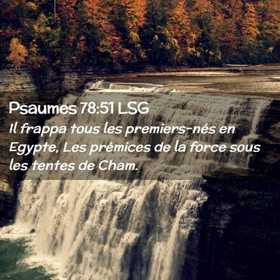 Picture 02 - Psaumes 78:51 LSG - Il frappa tous les premiers-nés en Egypte, Les - Bible Verse Picture