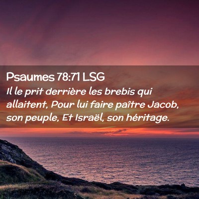 Picture 02 - Psaumes 78:71 LSG - Il le prit derrière les brebis qui allaitent, - Bible Verse Picture