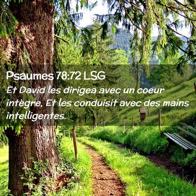 Picture 02 - Psaumes 78:72 LSG - Et David les dirigea avec un coeur intègre, Et - Bible Verse Picture
