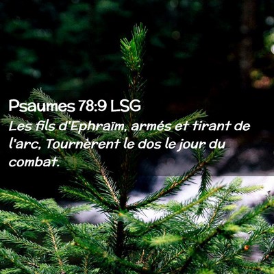 Picture 02 - Psaumes 78:9 LSG - Les fils d'Ephraïm, armés et tirant de l'arc, - Bible Verse Picture