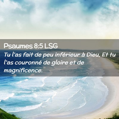 Picture 02 - Psaumes 8:5 LSG - Tu l'as fait de peu inférieur à Dieu, Et tu - Bible Verse Picture