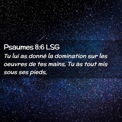 Picture 02 - Psaumes 8:6 LSG - Tu lui as donné la domination sur les oeuvres de - Bible Verse Picture